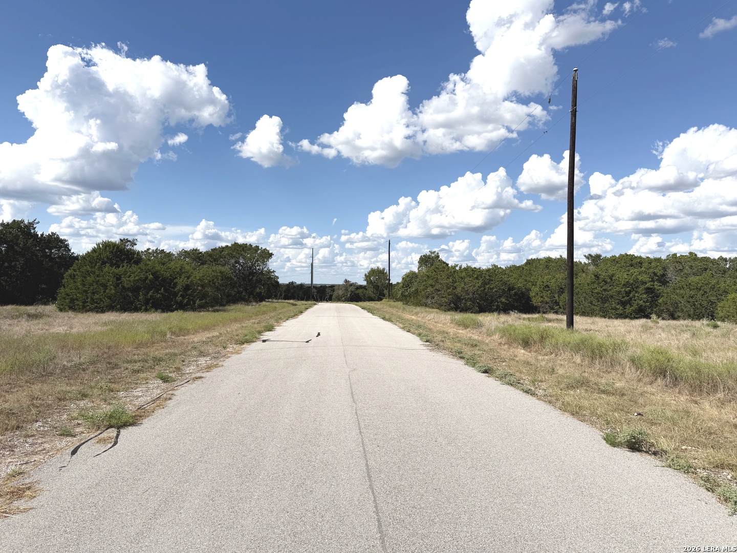 Lot 46 Riparian Elm Road Bertram TX 78605