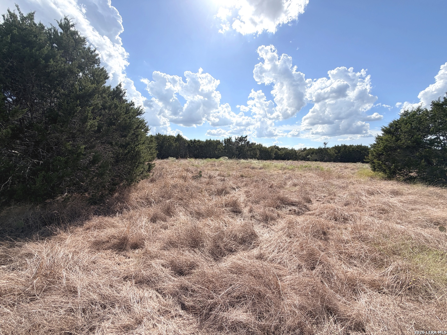 Lot 46 Riparian Elm Road Bertram TX 78605