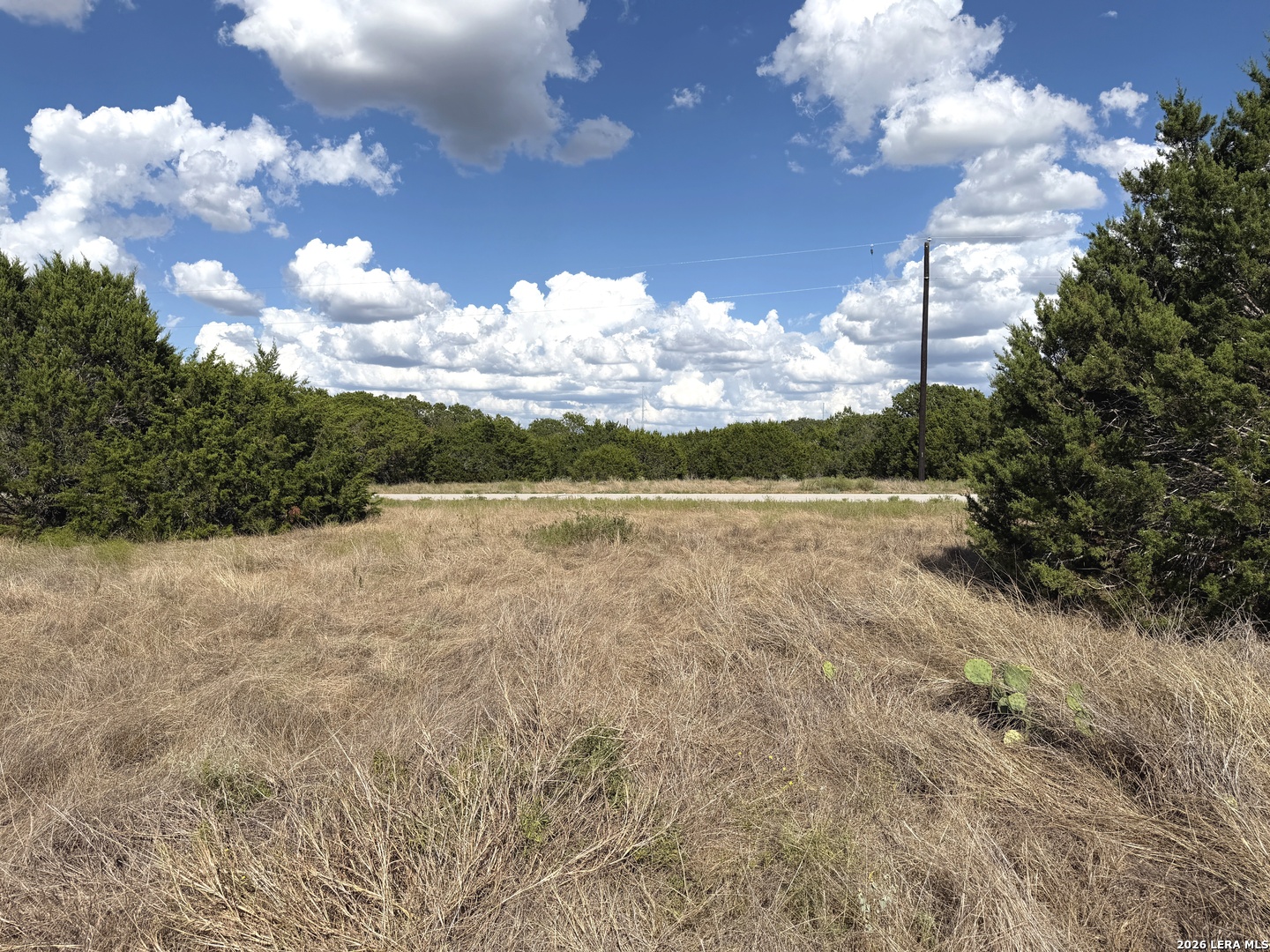 Lot 46 Riparian Elm Road Bertram TX 78605