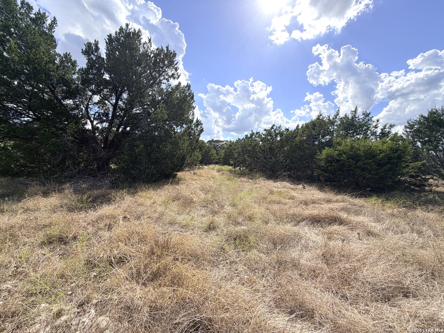 Lot 46 Riparian Elm Road Bertram TX 78605