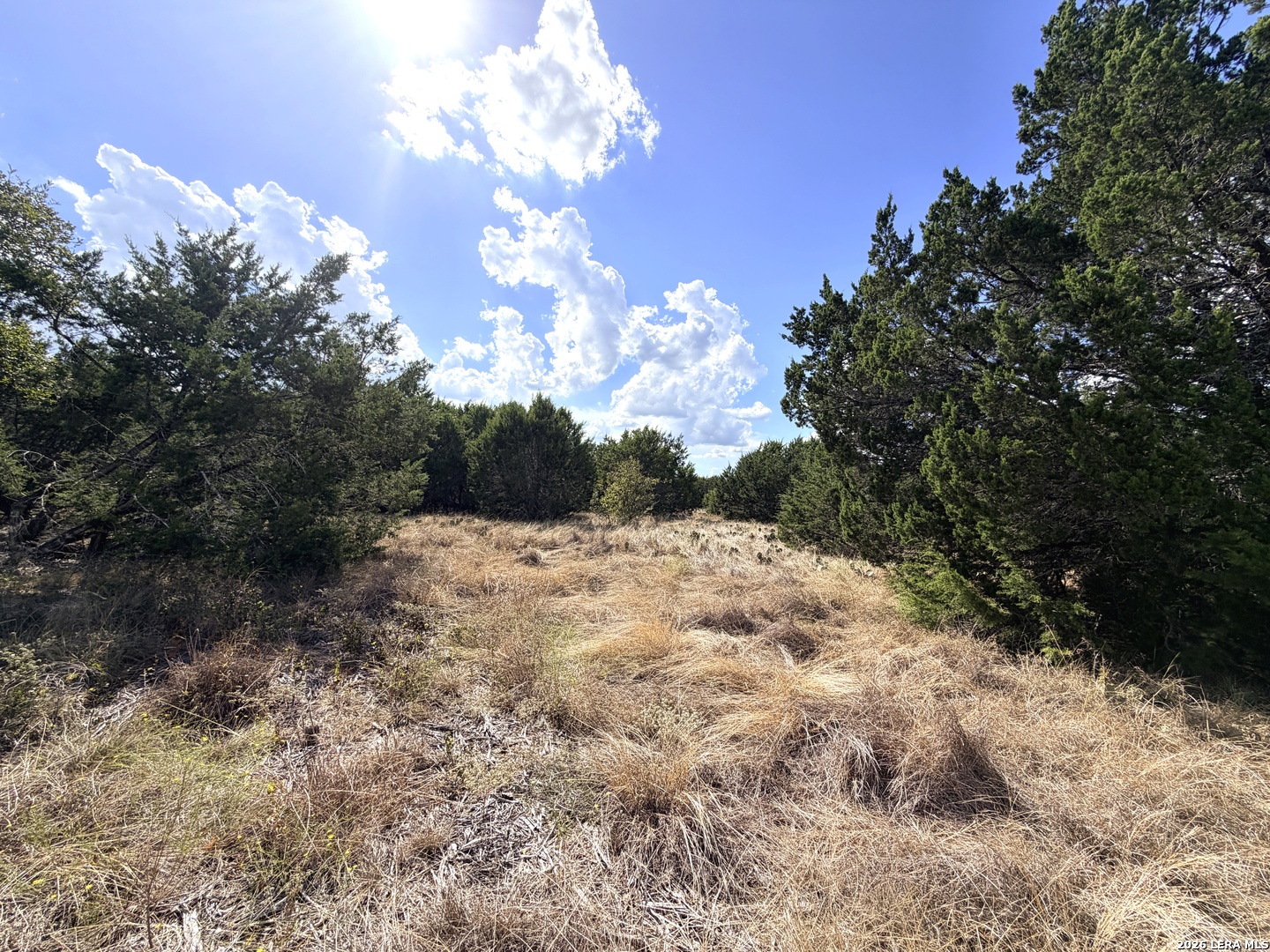 Lot 46 Riparian Elm Road Bertram TX 78605