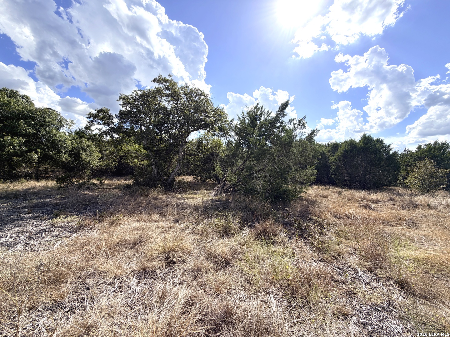 Lot 46 Riparian Elm Road Bertram TX 78605