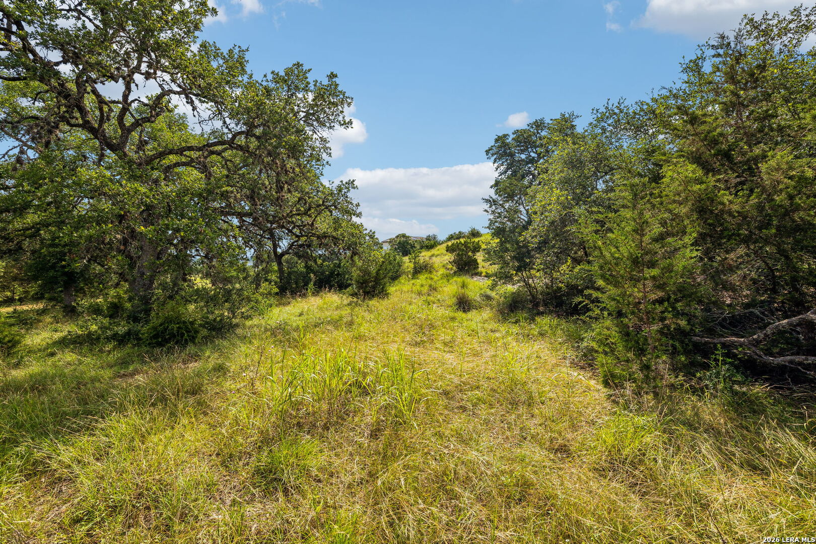 155 Obscure Way Spring Branch TX 78070