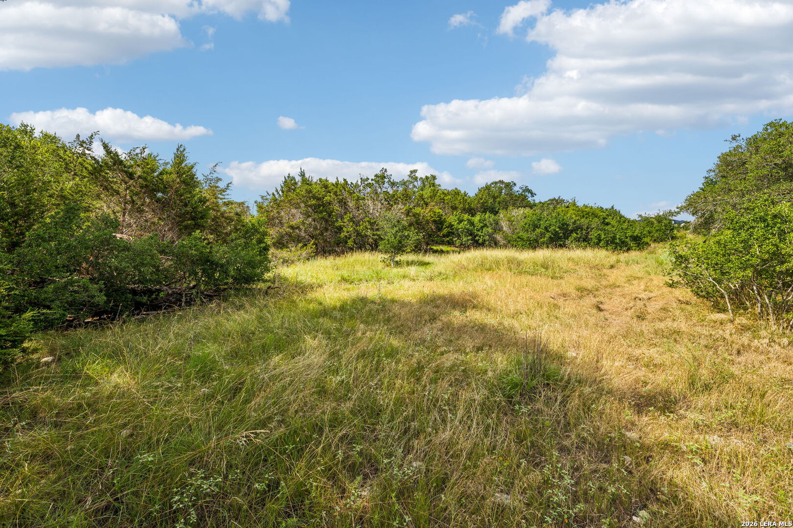 155 Obscure Way Spring Branch TX 78070