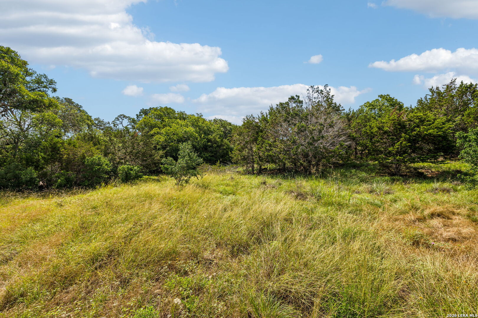 155 Obscure Way Spring Branch TX 78070