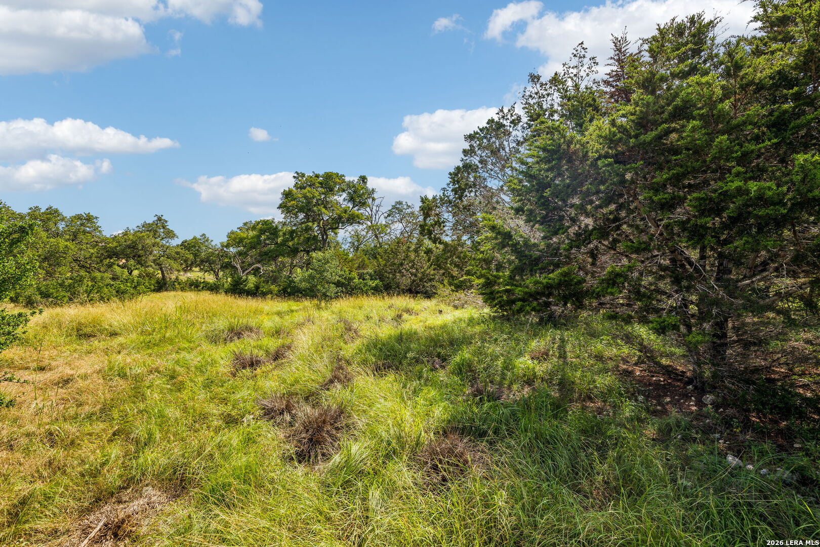 155 Obscure Way Spring Branch TX 78070