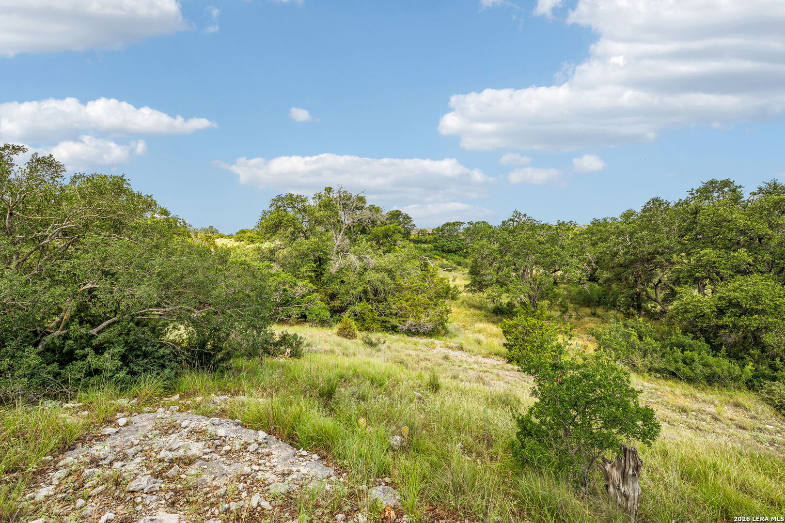 155 Obscure Way Spring Branch TX 78070