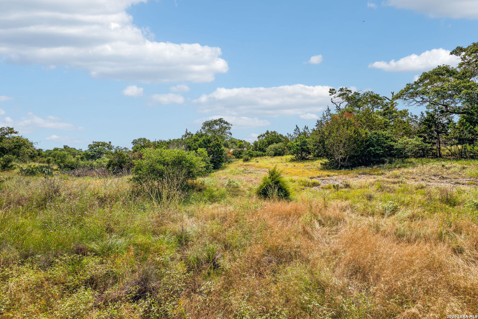155 Obscure Way Spring Branch TX 78070