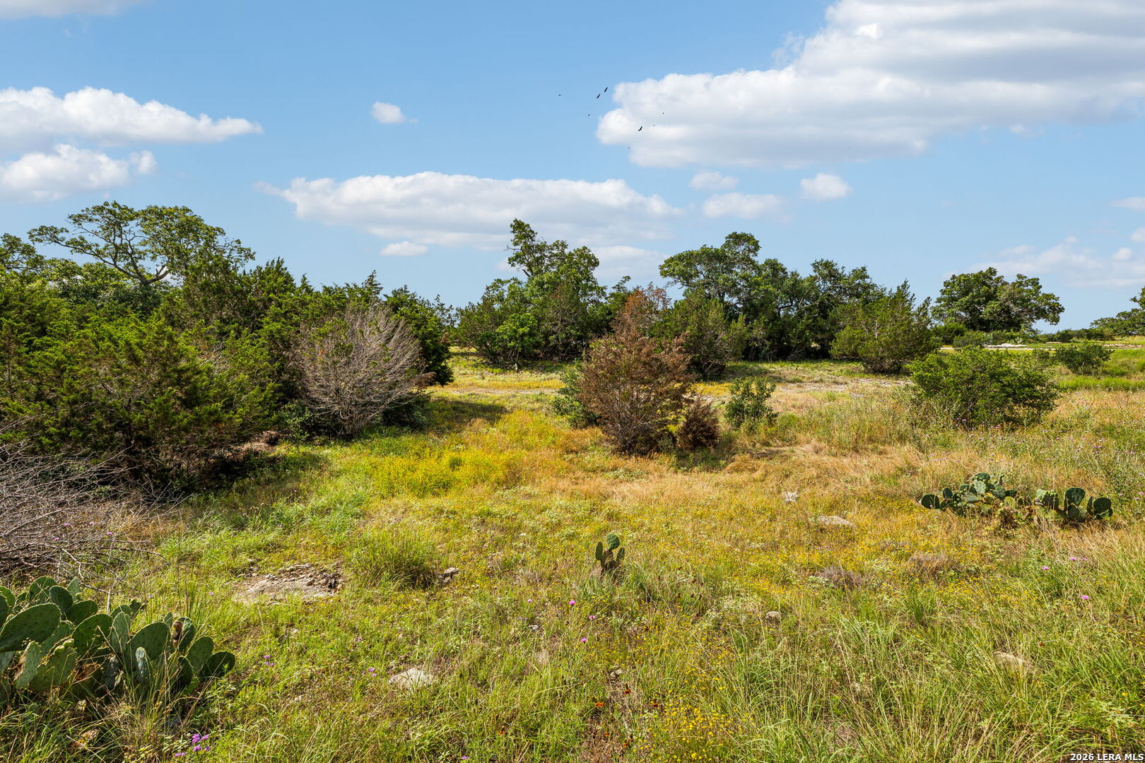 155 Obscure Way Spring Branch TX 78070