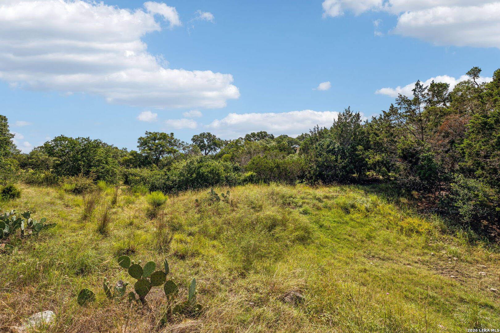 155 Obscure Way Spring Branch TX 78070