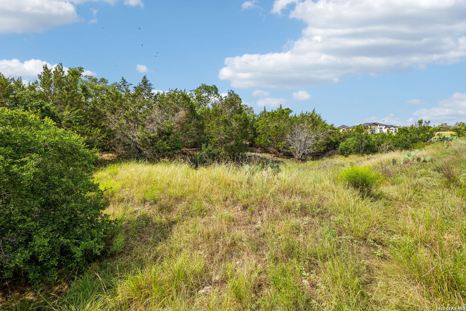 155 Obscure Way Spring Branch TX 78070