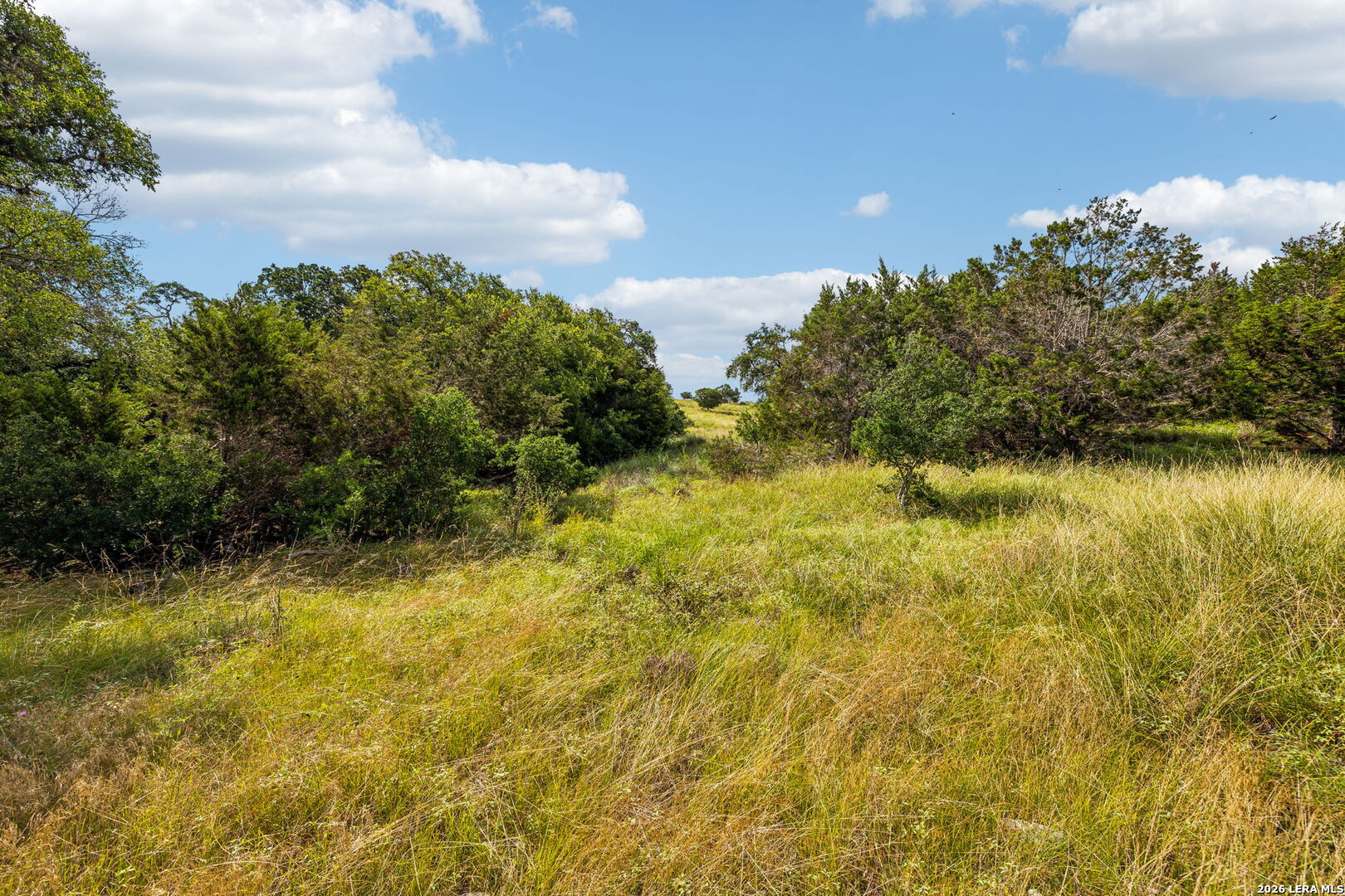 155 Obscure Way Spring Branch TX 78070