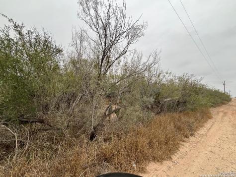 Lot 60 Ranchitos Los Fresnos Laredo TX 78041