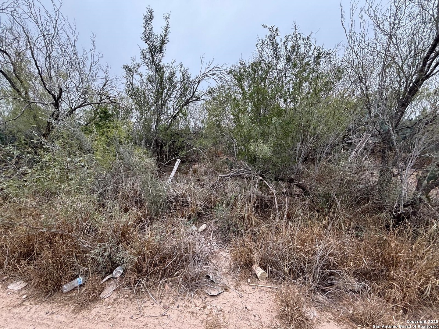 Lot 60 Ranchitos Los Fresnos Laredo TX 78041