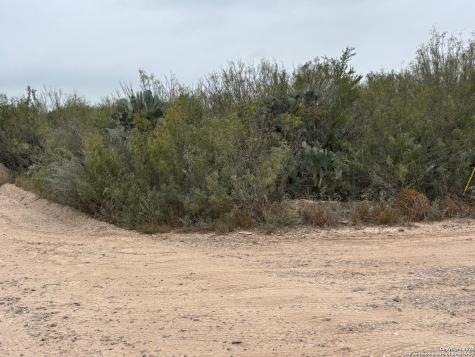 Lot 60 Ranchitos Los Fresnos Laredo TX 78041