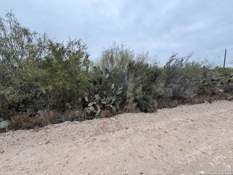Lot 60 Ranchitos Los Fresnos Laredo TX 78041