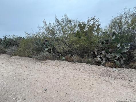 Lot 60 Ranchitos Los Fresnos Laredo TX 78041