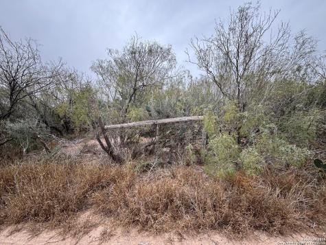 Lot 60 Ranchitos Los Fresnos Laredo TX 78041