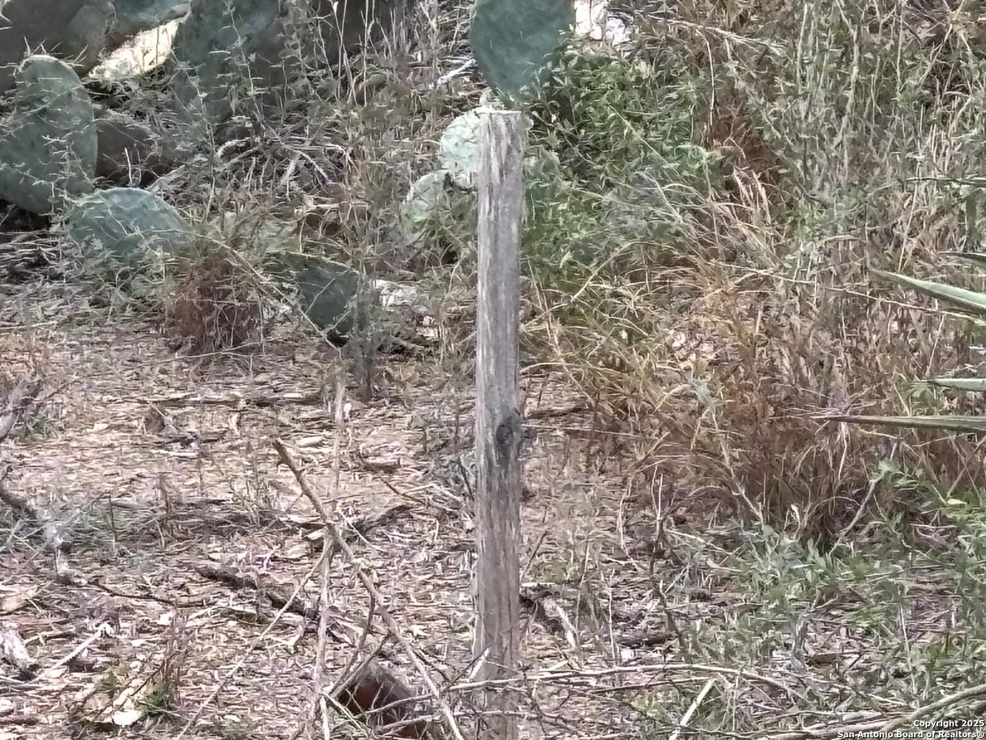 Lot 60 Ranchitos Los Fresnos Laredo TX 78041