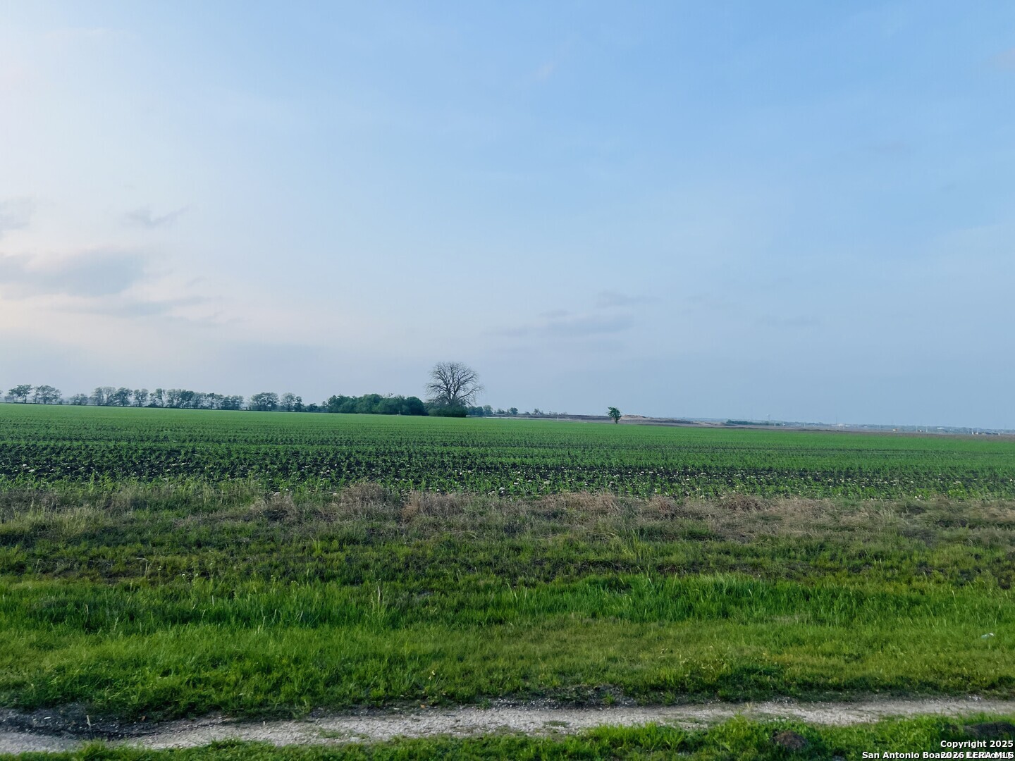 Lot 3 Lower Seguin Marion TX 78124