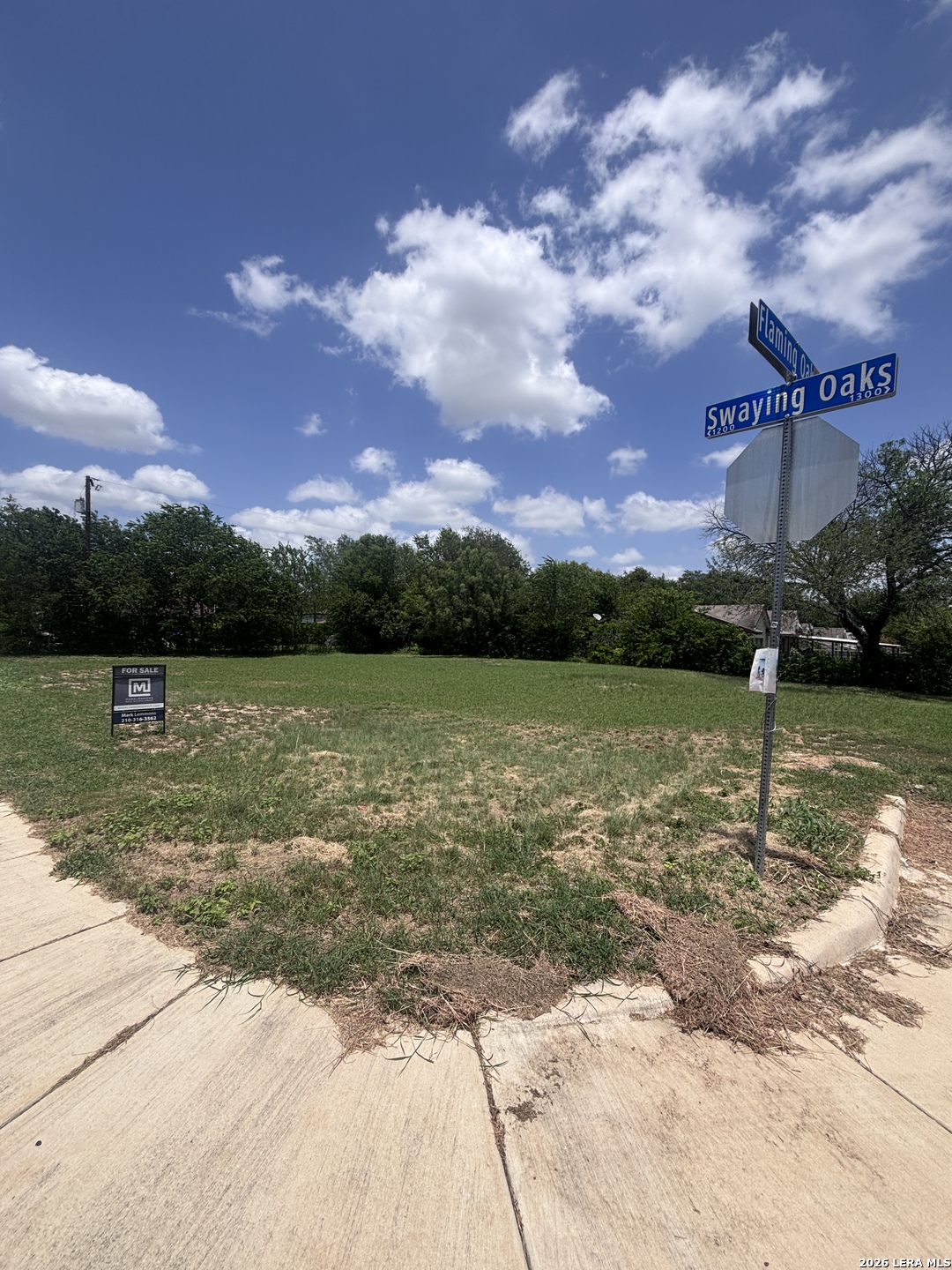 6635 Flaming Oak Street San Antonio TX 78227