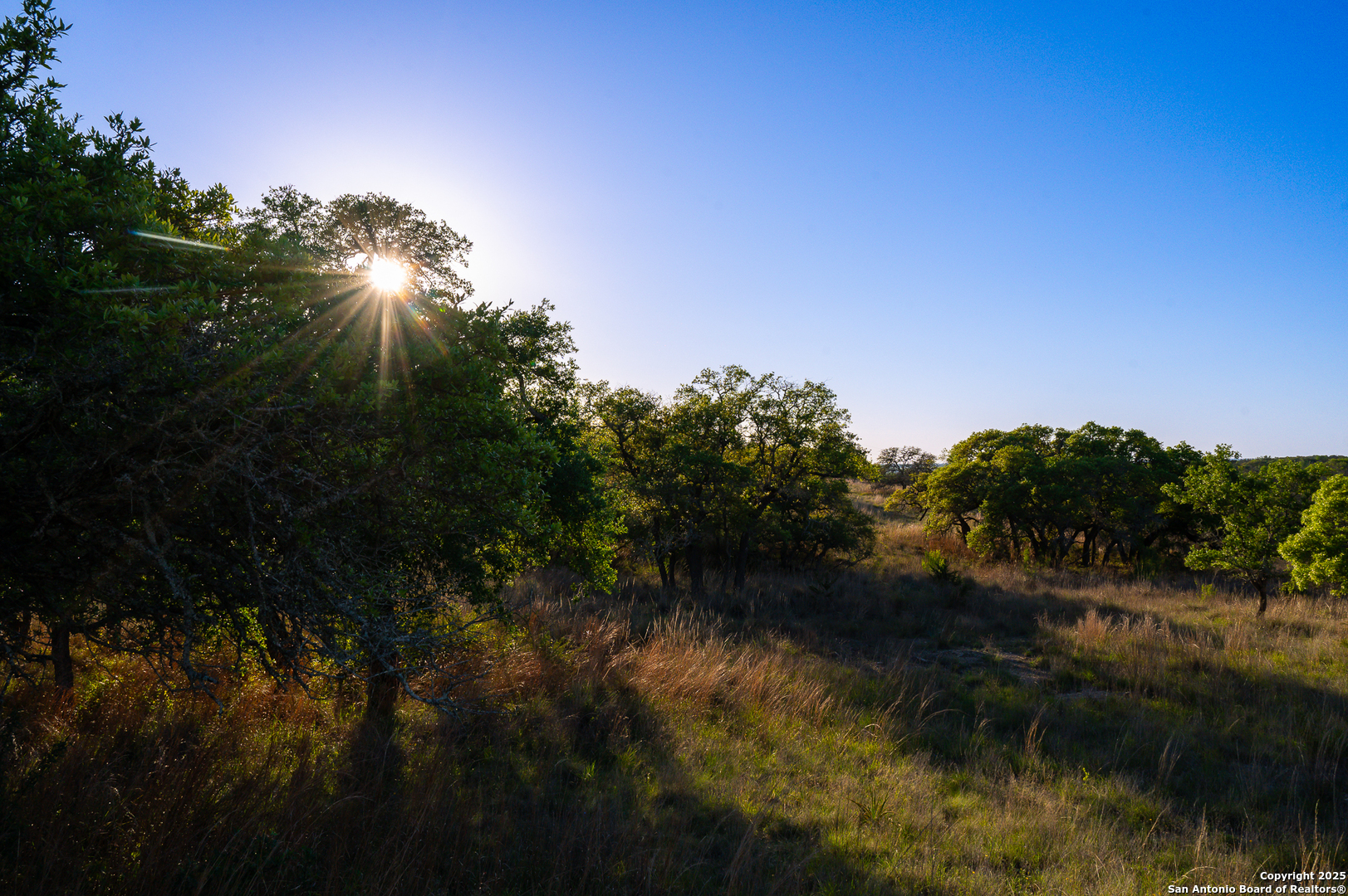 Lot 31 Shady Hollow Blanco TX 78606