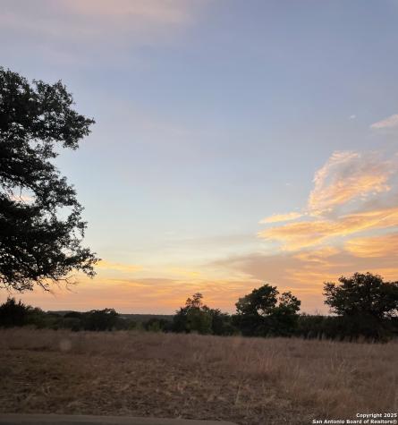 Lot 31 Shady Hollow Blanco TX 78606