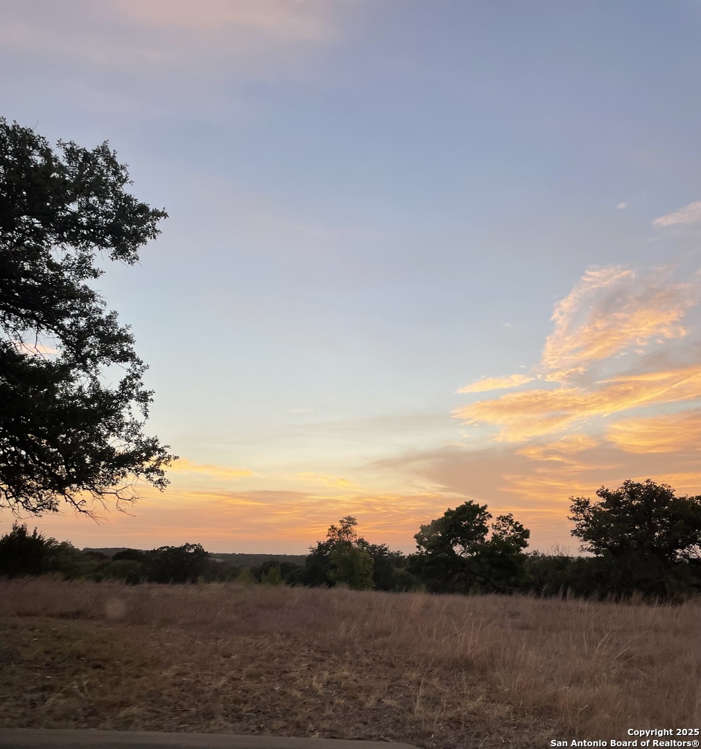 Lot 31 Shady Hollow Blanco TX 78606