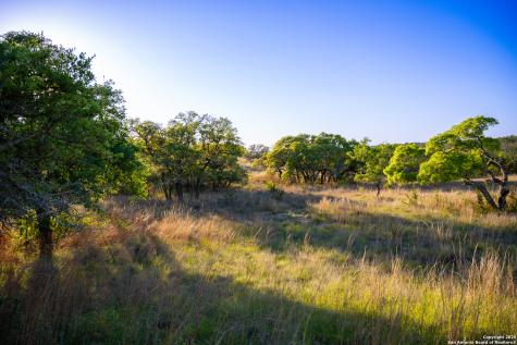 Lot 31 Shady Hollow Blanco TX 78606