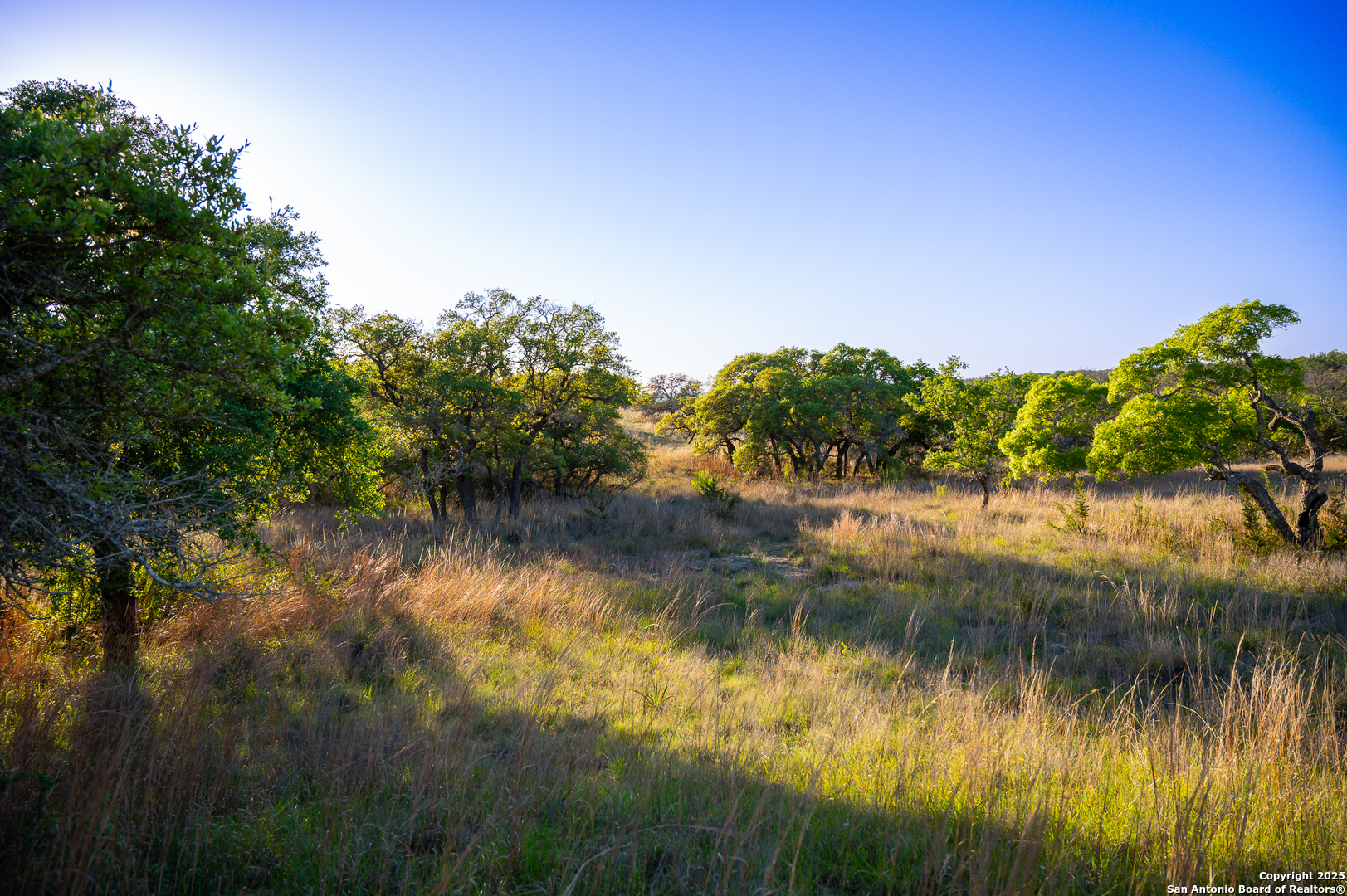 Lot 31 Shady Hollow Blanco TX 78606