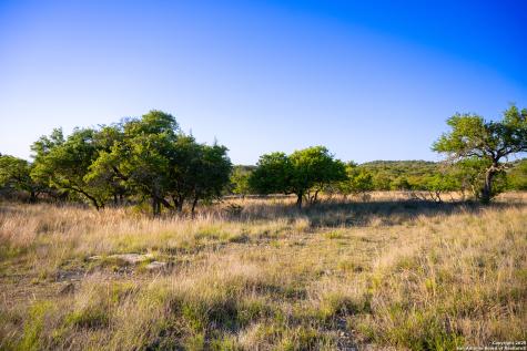 Lot 31 Shady Hollow Blanco TX 78606