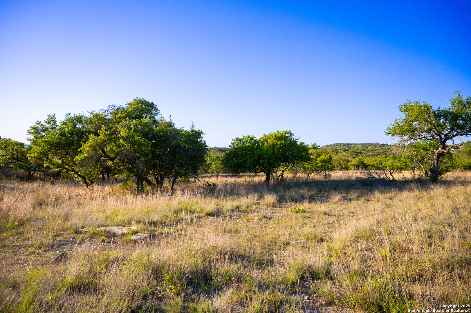 Lot 31 Shady Hollow Blanco TX 78606