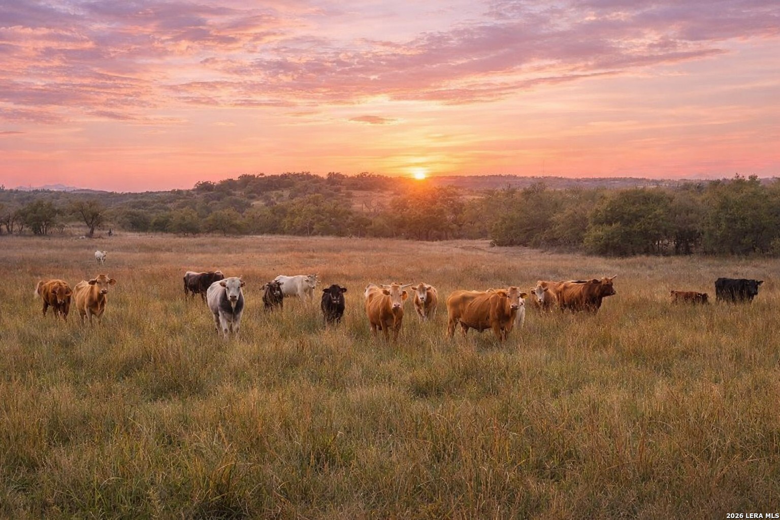 0 Limestone Hollow Wimberley TX 78676