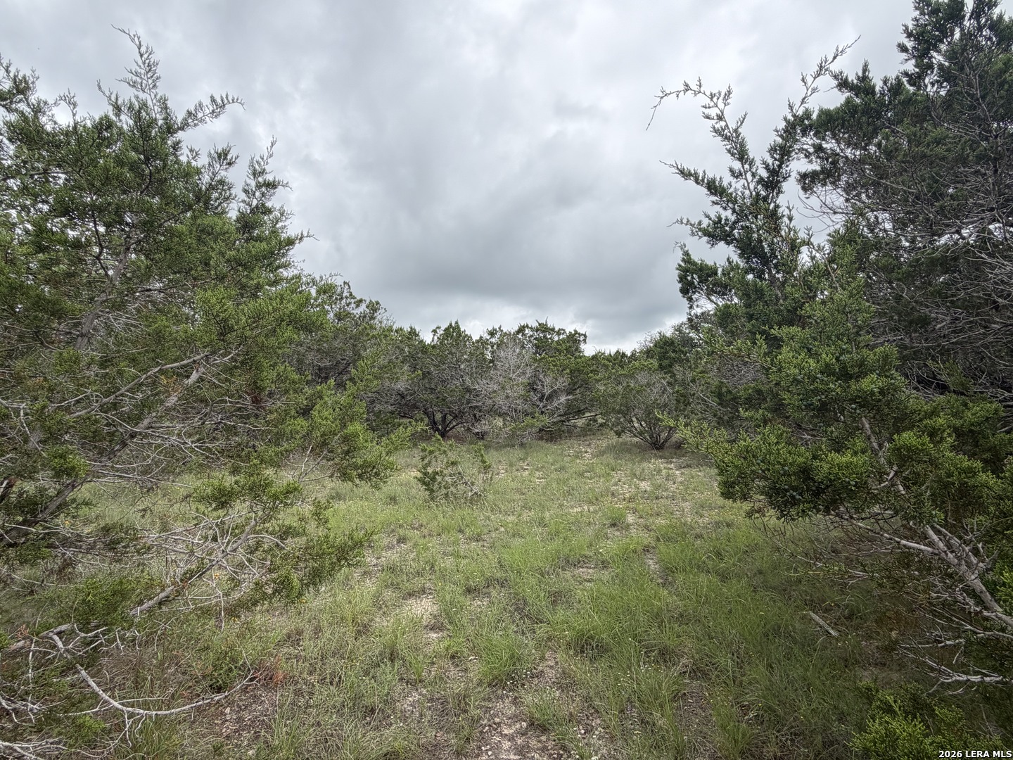 Lot 36 Cliff Drive Spring Branch TX 78070