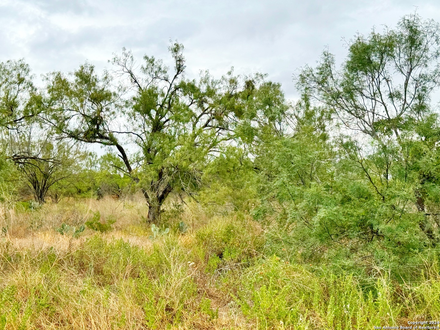 103 Cr 2636 Devine TX 78016