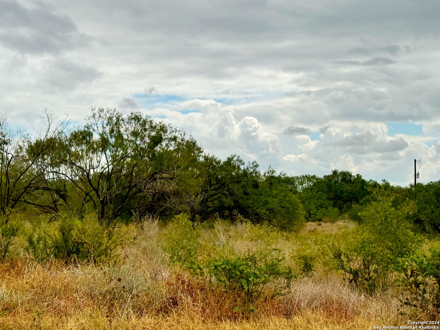 103 Cr 2636 Devine TX 78016