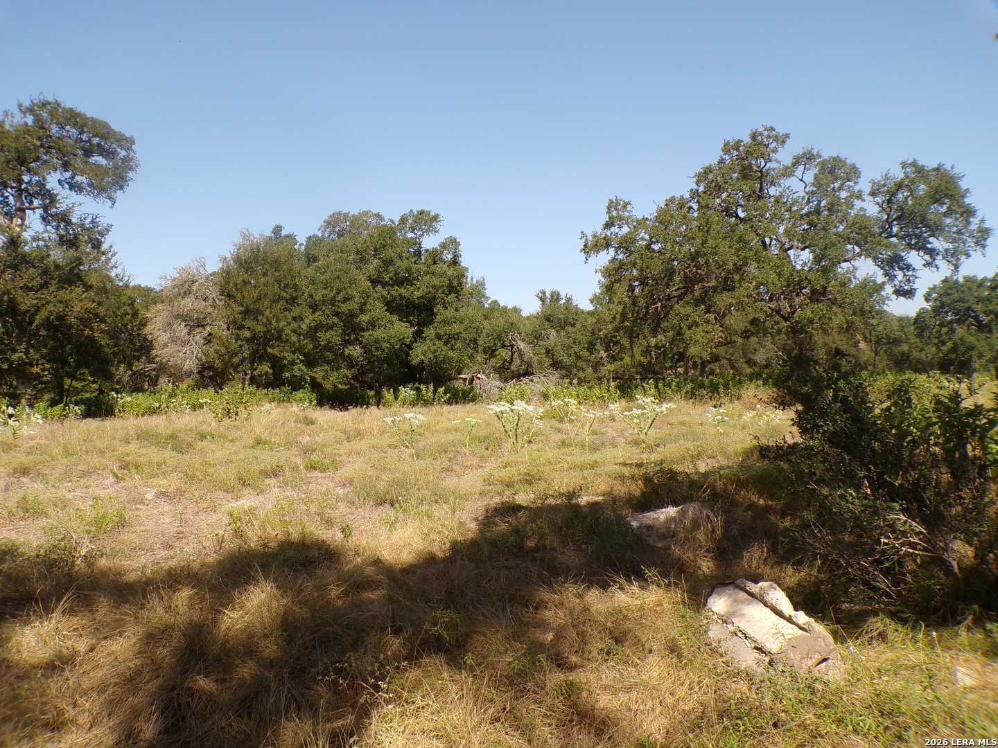 31401 Smithson Valley Bulverde TX 78163