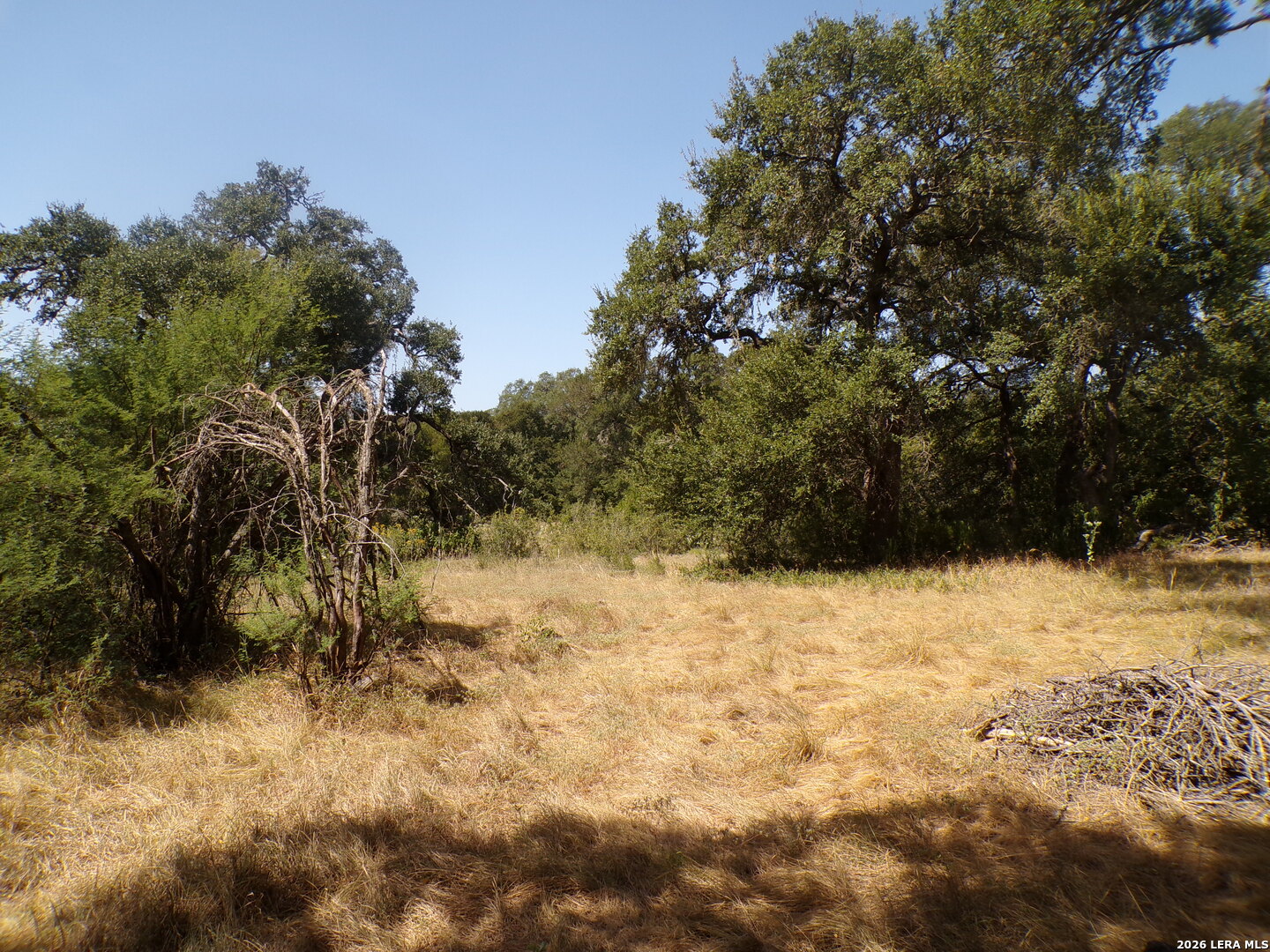 31401 Smithson Valley Bulverde TX 78163