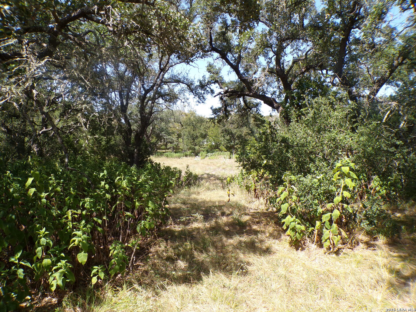 31401 Smithson Valley Bulverde TX 78163