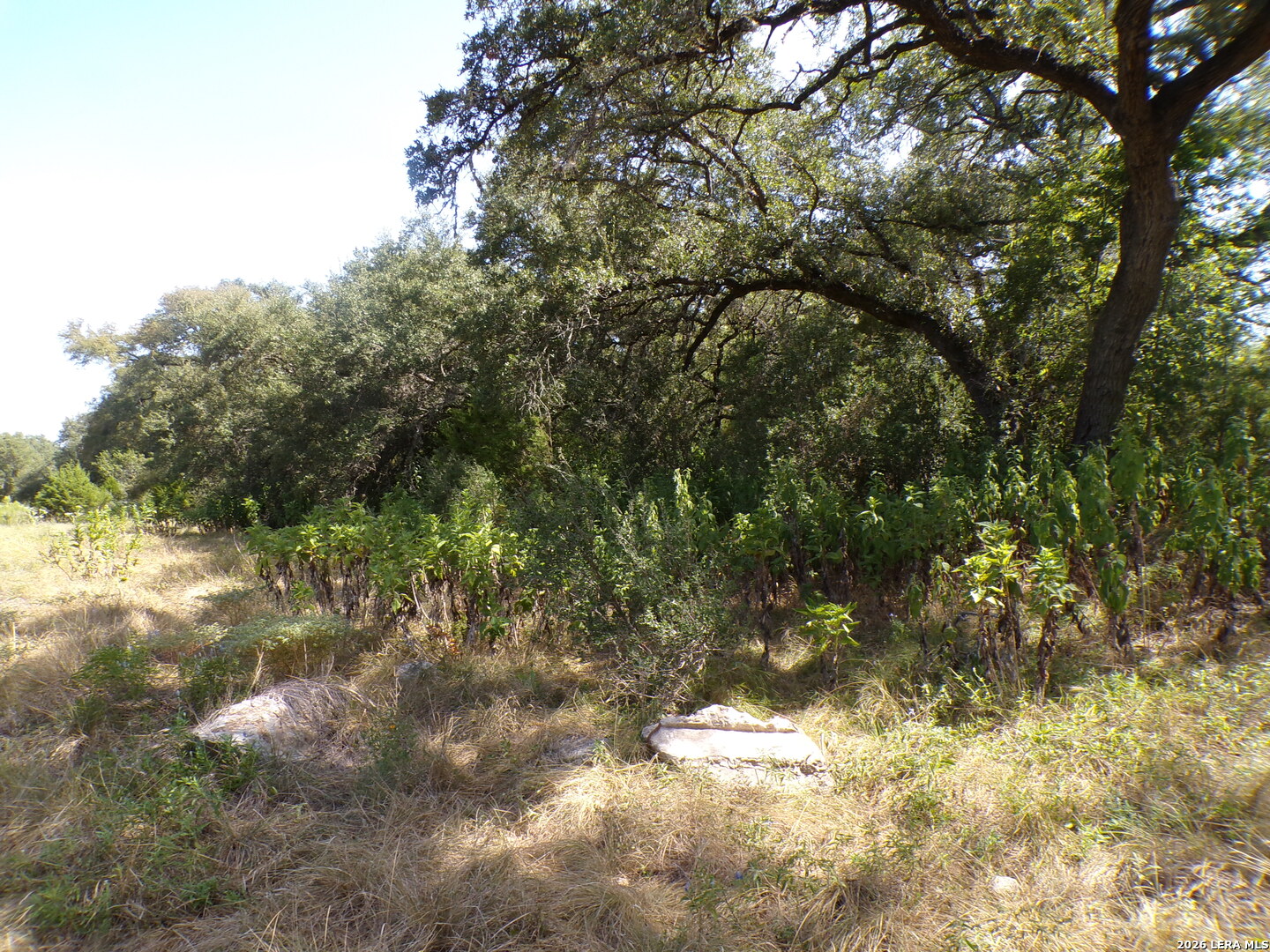 31401 Smithson Valley Bulverde TX 78163