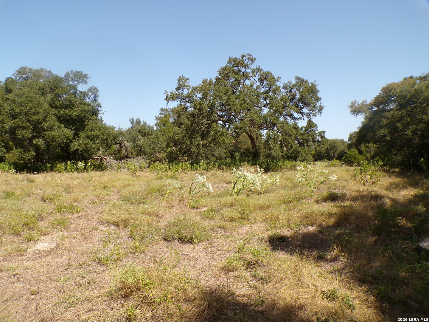31401 Smithson Valley Bulverde TX 78163