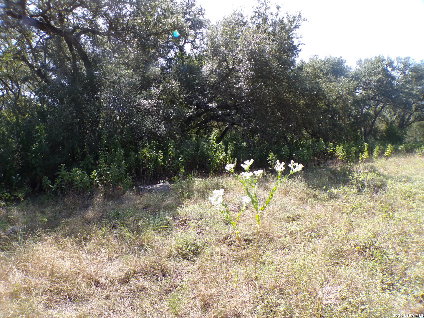 31401 Smithson Valley Bulverde TX 78163