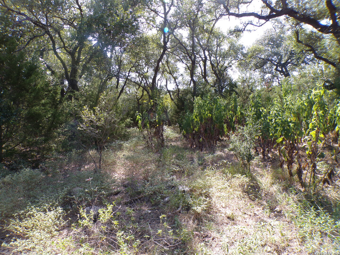 31401 Smithson Valley Bulverde TX 78163