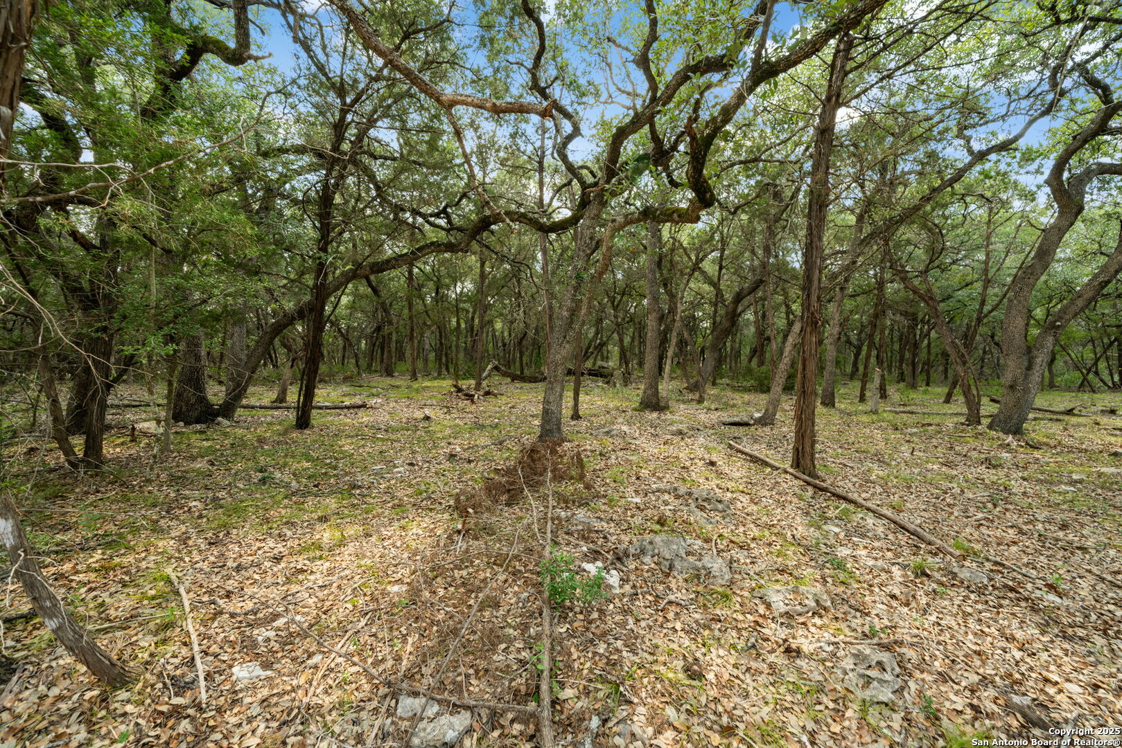 1775 Lost Trail New Braunfels TX 78132