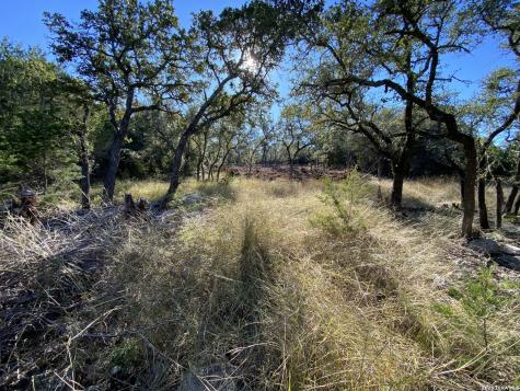 970 W Branch Crossing Spring Branch TX 78070