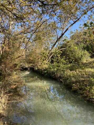 970 W Branch Crossing Spring Branch TX 78070