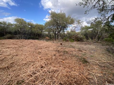 970 W Branch Crossing Spring Branch TX 78070