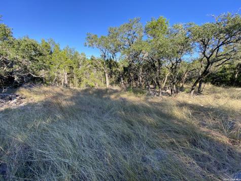 970 W Branch Crossing Spring Branch TX 78070
