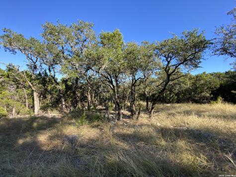 970 W Branch Crossing Spring Branch TX 78070
