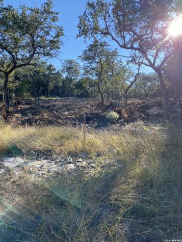 970 W Branch Crossing Spring Branch TX 78070